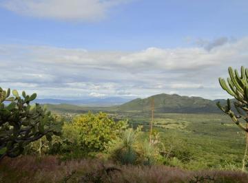 Terreno / Lote · 10000m² · Terreno Ecoturistico en Pueblo Escolástica