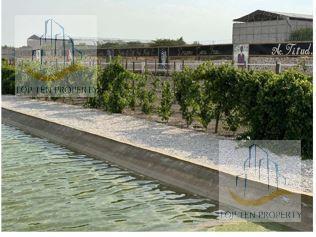 Terreno / Lote · 500m² · Terreno en Venta Lote 50 Viñedos El Sueño, Ezequiel Montes