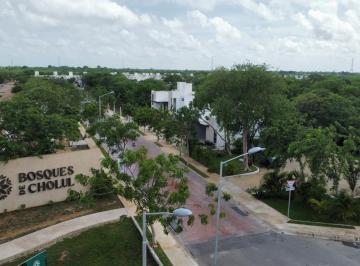 Casa de 2 habitaciones, Mérida · Renta Casa un Solo Nivel Cholul
