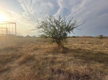 Terreno / Lote · Terreno Rústico en Venta en Xoxocotla, Municipio de Puente Ixtla, Morelos