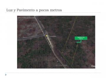 Terreno / Lote · 5000m² · Gran Terreno en Venta Merida, Conkal Bien Ubicado (Avt - 1001)