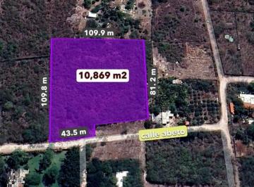 Terreno / Lote · 10869m² · Terreno Residencial de 10,869 m² Entre Tixcuytun y Cholul, Mérida Yucatán - (4)