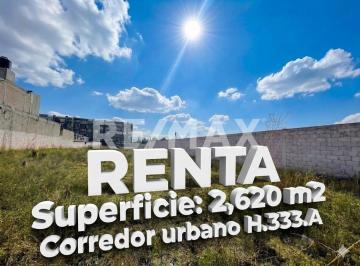 Terreno comercial · 2620m² · Terreno en Renta Sobre Vicente Guerrero Norte - (4)