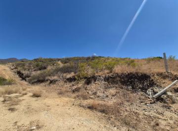 Terreno / Lote · 10000m² · Terreno en San Felipe del Agua 1