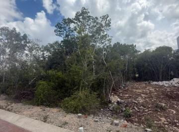 Terreno / Lote · 225m² · Terreno en Fraccionamiento Arbolada