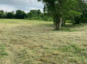Terreno / Lote · 110000m² · Terreno en Venta Salida a Cazones, Poza Rica, Veracruz