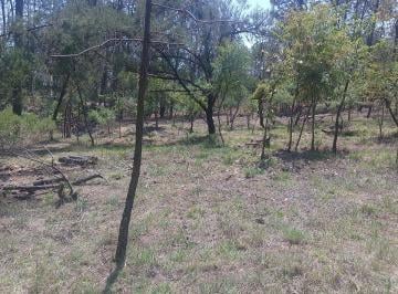 Terreno / Lote , Huasca de Ocampo · Terreno en Venta Real del Monte Hidalgo