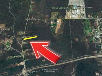 Terreno / Lote · 43m² · Terreno en Tahdzibichen 4.3 Ha