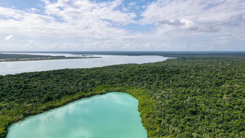 Land for Sale in Buenavista Bacalar