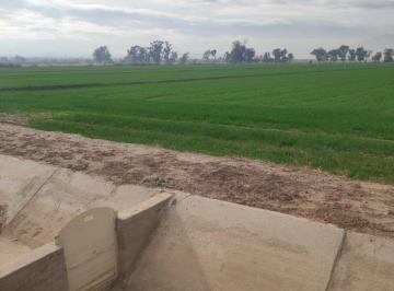 Terreno / Lote , Mexicali · Se Venden | 11 Hectáreas — Mexicali B. C.