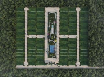 Terreno / Lote · 290m² · Terreno en Venta en Chelem, Estado de Yucatan - (4)