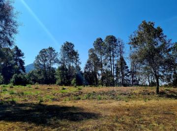 Terreno / Lote · 47000m² · Hermoso Terreno en San Juan Amanalco