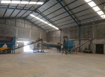 Bodega comercial , Ciénega de Flores · Renta de Bodega 1,536 m² en Ciénaga de Flores – $100/m²
