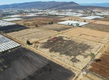 Terreno / Lote , Jocotepec · Terreno Agroindustrial en Renta, Jocotepec | 3.7 Hectáreas con Pozo y Energía