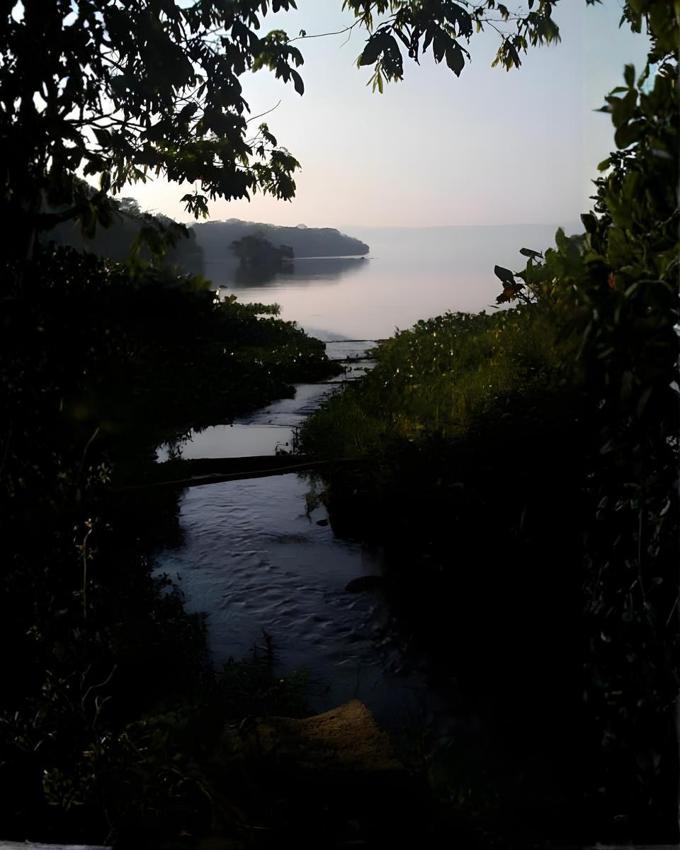 Terreno en Venta en Catemaco