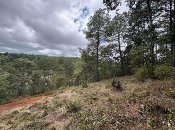 Terreno / Lote · 300m² · Terreno - Fraccionamiento Lomas de Chiapas