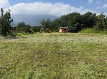 Rancho · 18000m² · Rancho en Venta en Montemorelos