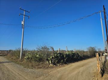 Terreno / Lote · 10000m² · Terreno en Montemorelos por El Centro