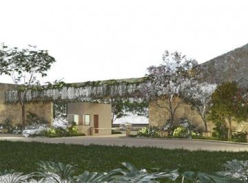 Terreno / Lote · 301m² · Terreno en Venta en Chelem, Estado de Yucatan - (4)