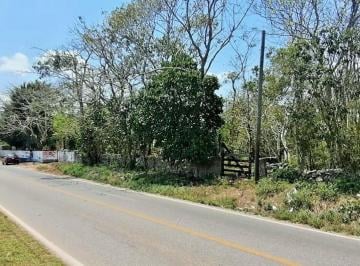 Terreno / Lote · 6000m² · Amplio Terreno en Venta Merida, Tizimin 6000 m² (Fvt - 1181)