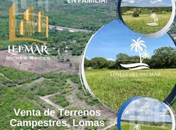 Terreno / Lote · 600m² · Terreno Campestres en Venta en Tampico Alto