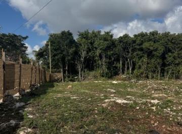 Terreno / Lote · 3300m² · Terreno en Venta 3,300 m² – Zona Fonatur Cancún