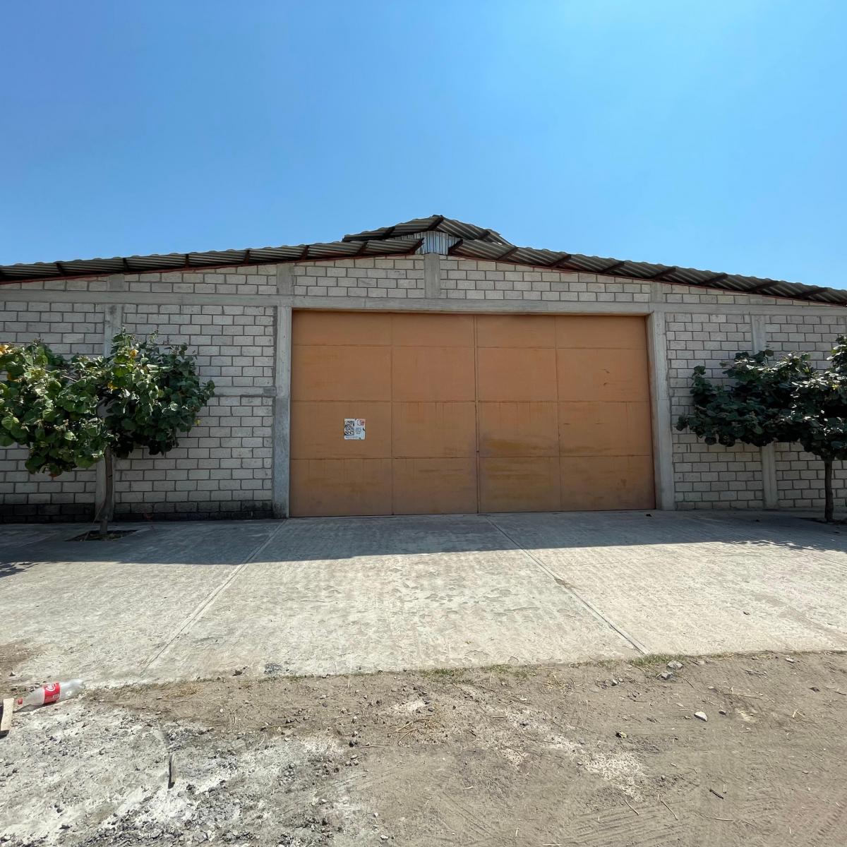 Bodega 600 m&sup2;