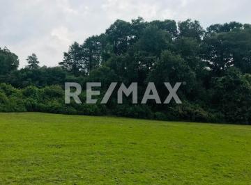 Terreno / Lote · 68026m² · Terreno en Venta - (4)