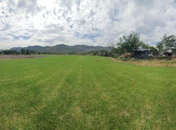 Terreno / Lote · 7000m² · Terreno en Venta en Emiliano Zapata, Morelos