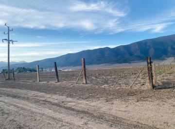 1 · Terreno en Venta en San Antonio de Las Alazanas, Arteaga, Coahuila de Zaragoza