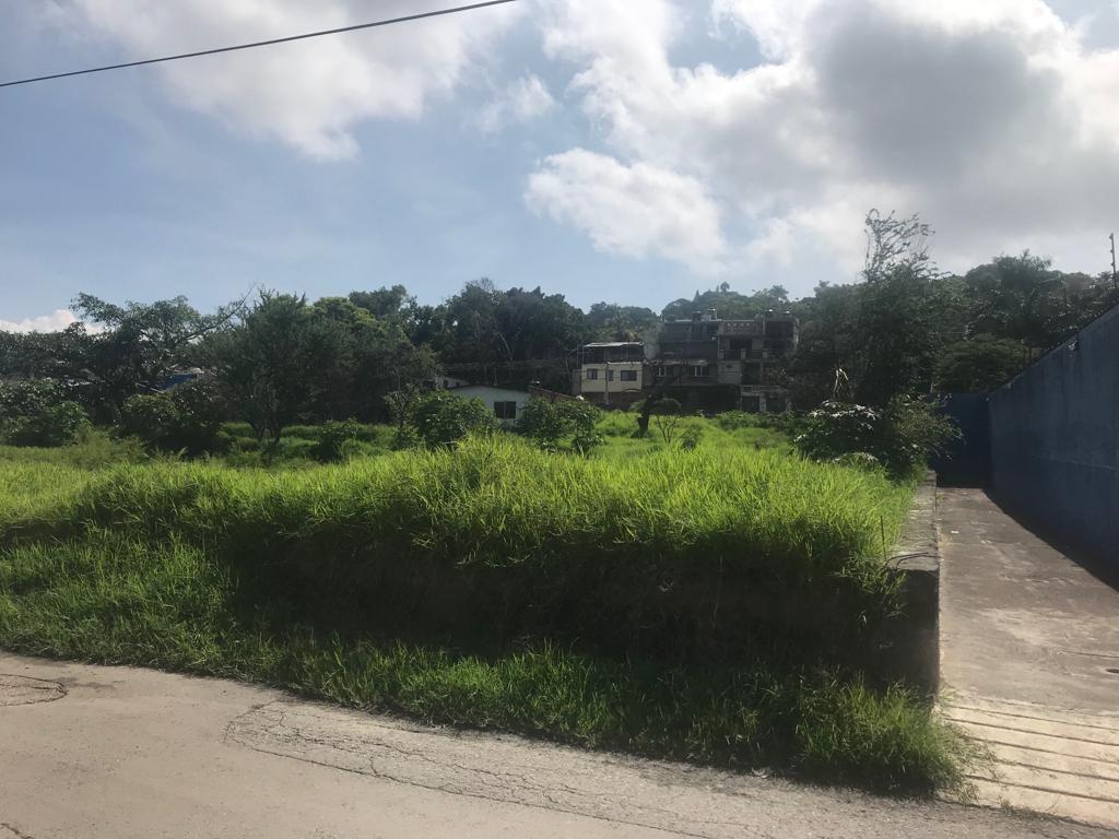 Land in Progreso