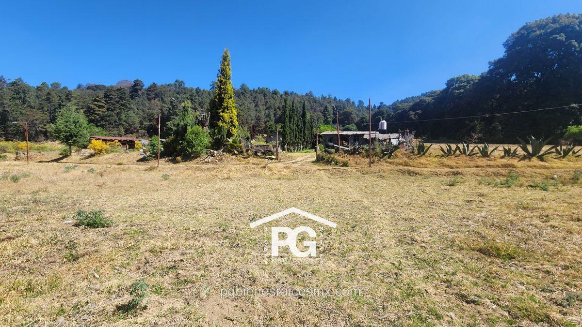 Land for Sale | Amecameca, State of Mexico | 2,647 m&sup2; | Ideal for Leisure or Farming