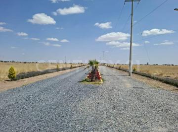 Terreno / Lote · 400000m² · Terreno en Venta en Carr. San Fco de Los Viveros a Sn José de La Ordeña El Llano