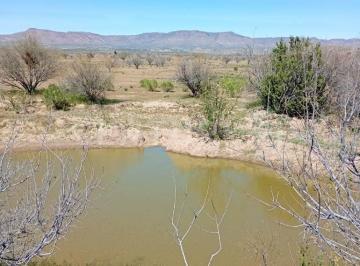 Terreno / Lote · 90000m² · En Venta 90 Ha I Leyes de Reforma