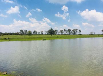 Terreno / Lote , Jilotepec · Terreno Campestre Jilotepec Mexico, 17,000 m
