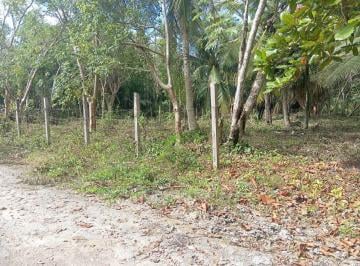 Terreno / Lote · 800m² · Terreno en Bacalar