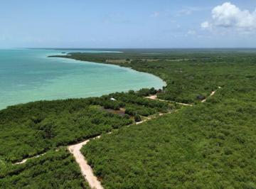 Terreno / Lote · 1600m² · Terrenos a La Orilla del Mar en Quintana Roo