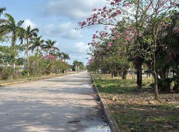 Terreno / Lote , Benito Juárez · Terreno con 15,478 m² de Terreno en Venta, Cancún Para Desarrolladores de Vivienda y Comercio