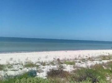 Terreno / Lote , Celestún · Venta de Terreno Frente Al Mar en Celestun F - 2810, 37 m. X 120 de Fondo $10,360,000 m. N.