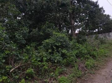Terreno / Lote · (Mxcv26240) Terrenoen Venta Higueron Pueblo Viejoinfo