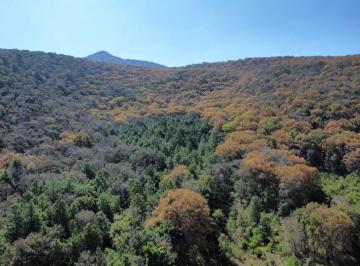 Terreno / Lote , Pátzcuaro · 32 Hectáreas Escrituradas de Bosque en Las Trojes del Durazno Muy Cerca de Pátzcuaro