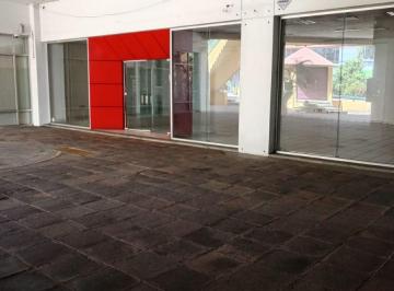Local en centro comercial , Cuernavaca · Local Amplio y Céntrico