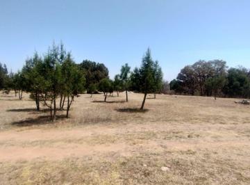 Terreno / Lote · 1000m² · Terreno Campestre en Venta en El Bosque de Bermudez, Huasca, Hidalgo.