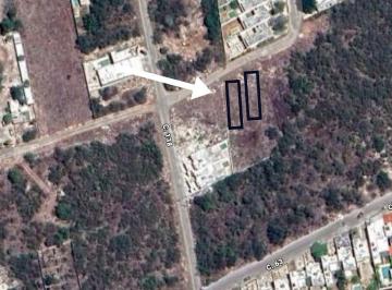 137e6b78c50bcd53c8deb9d497a0c4db4d20be21cccfa2cb746c38dd49014c79 · Terreno en Dzityá: El Espacio Que Tu Familia Merece