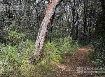 Terreno / Lote · 10129m² · Terreno en Laguna de Servin Ideal Para Casa Vacacional. 10,129 m²