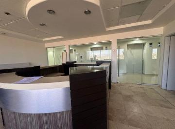 Oficina , Tijuana · Oficina en Renta | Torres Agua Caliente, Tijuana