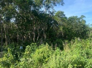 Terreno / Lote , Tulum · Macro Lote en Venta Chemuyil Q. Roo.