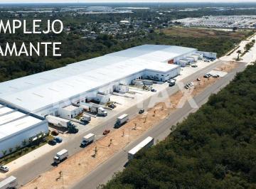 Bodega-Galpón · 300m² · Bodegas Nuevas en Renta Desde 300 m² Hasta 2,000 m² Zona Industrial Poniente - (4)
