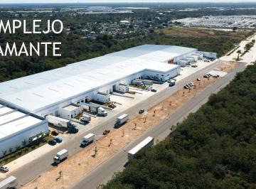 Bodega-Galpón · 300m² · Bodegas Nuevas en Renta Desde 300 m² Hasta 2,000 m² Zona Industrial Poniente - (4)