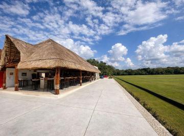 c29c86d72c4c063cc642a669d14b7ae9d2dad19c2cf941adbd672463ea0c1e53 · Lote Exclusivo en Rey Polo Country Club – Ruta de Los Cenotes, Puerto Morelos